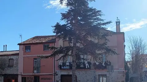 Imagen del día