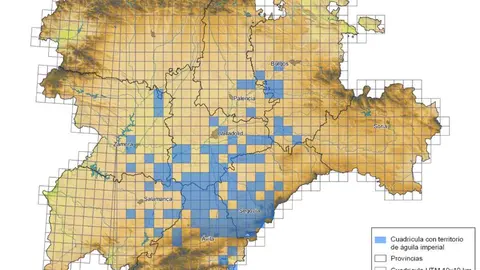 águila imperial ibérica