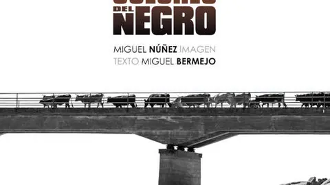 todos los colores del negro