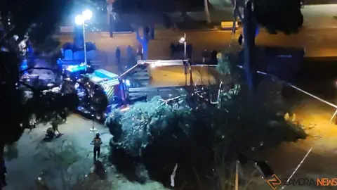 pino en la marina _2