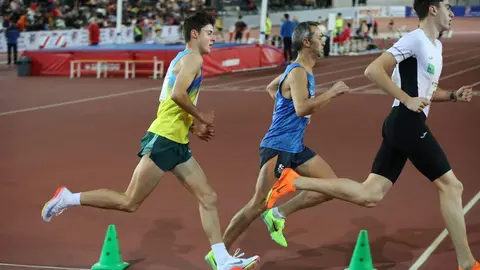 A MIGUEL GANADO 1500
