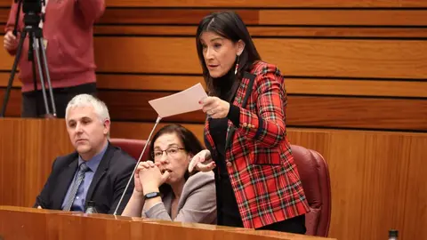 ANA SÁNCHEZ - PLENO CORTES (2)