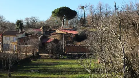 Alcorcillo. IMAGEN FACEBOOK