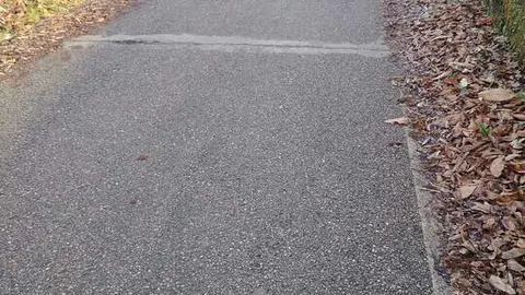 San Román de Sanabria (2)