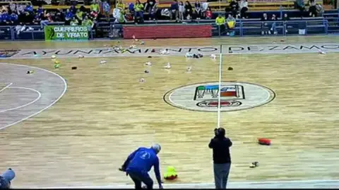 Peluchada, BM Zamora