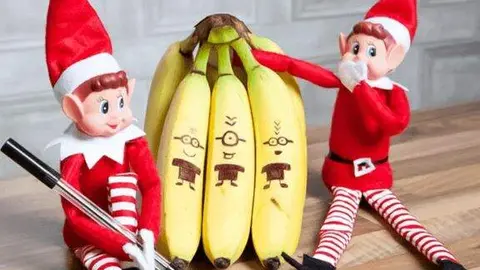 elfo travieso archivo