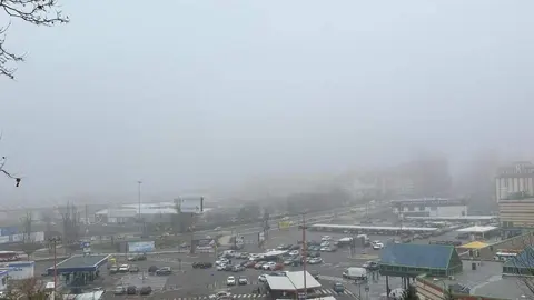Niebla Zamora