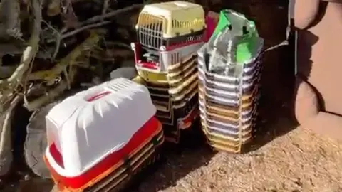 Asociación Animales Toro