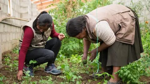 Proyecto de alimentación