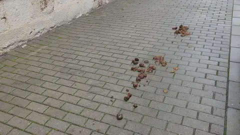 472227127_1108057277456455_4251589844553540535_n