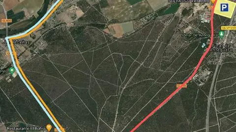 Medidas especiales de Tráfico con motivo de Pingüinos 2025