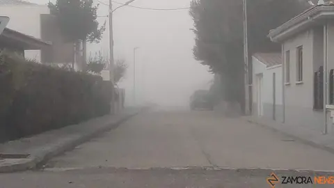 cencellada en Zamora 