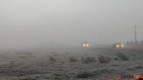 cencellada en Zamora _2