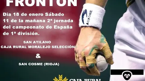 cartel pelota mano
