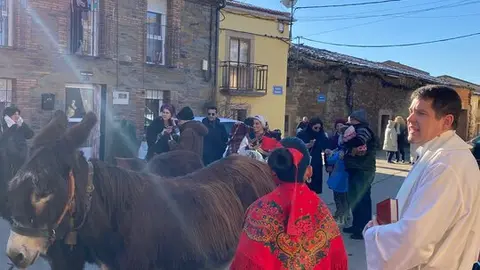 fiestas de San Antonio en Domez. IMAGEN CEDIDA  (2)