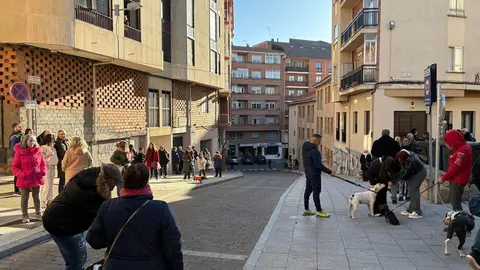 Bendición San Antolín 2025_15