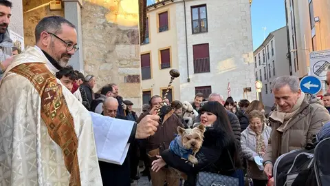 Bendición San Antolín 2025_29
