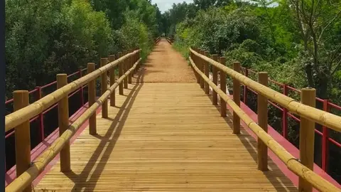 vía verde de Benavente