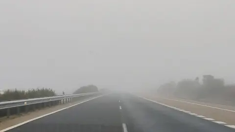 niebla