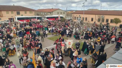Muelas del Pan celebra la llegada de más de 1.500 águedas