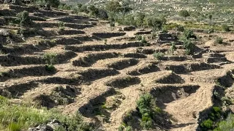 Fermoselle Campo
