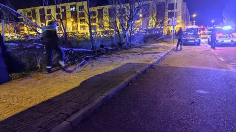 Herminia causa estragos en la ciudad de Zamora