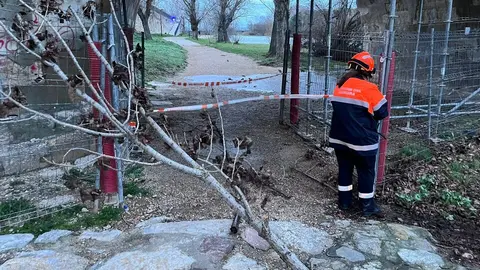 Así ha azotado Zamora la borrasca Herminia