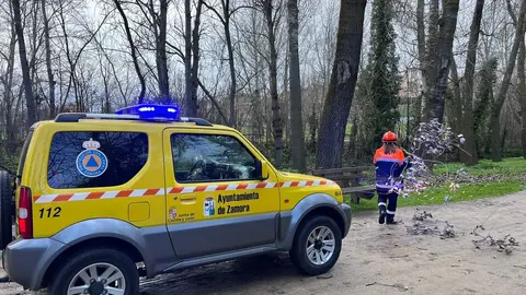 Así ha azotado Zamora la borrasca Herminia