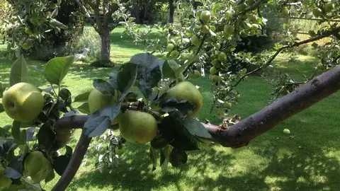 Arroyo Pradopetisco y el Piélago. Por Ayto Fermoselle