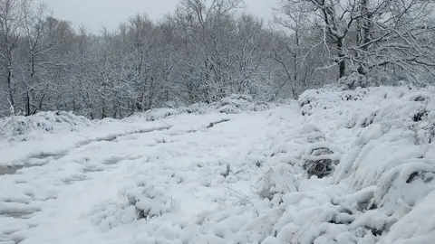 nieve Lubián _29
