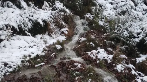 nieve Lubián _3
