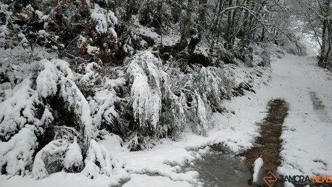 nieve Lubián _4