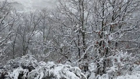 nieve Lubián _9