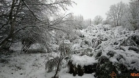 nieve Lubián _11