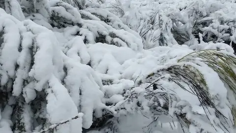 nieve Lubián _14