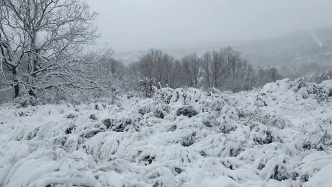 nieve Lubián _15