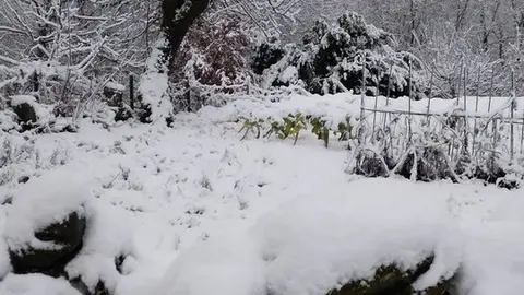 nieve Lubián _30