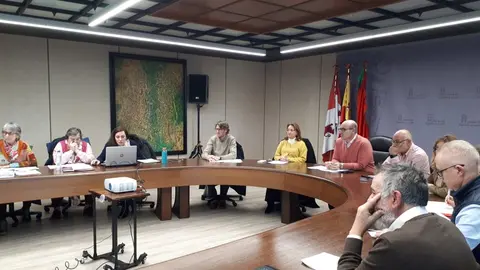 Comisión Patrimonio enero