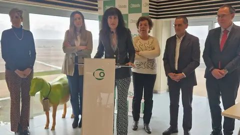 Ana Redondo Cobadú