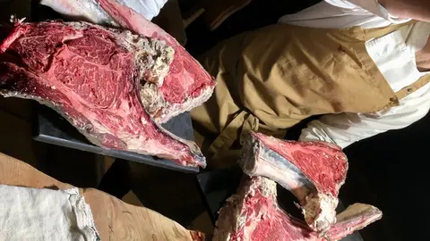 El Capricho Raza Sayaguesa 2