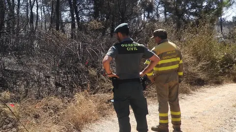 Guardia Civil, Zamora