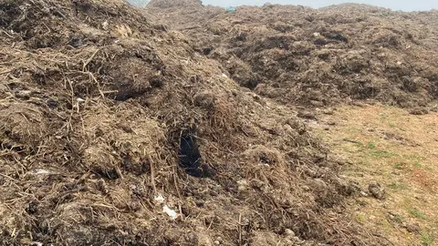 VERTIDOS PESTILENTES CON SUBPRODUCTOS ANIMALES EN EL CUBO DEL VINO