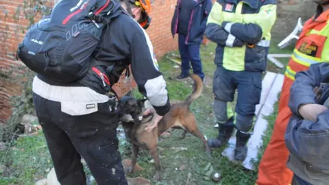 acción norte_242 - copia
