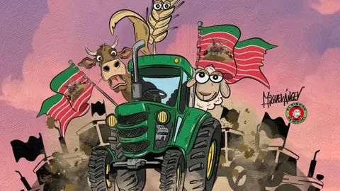 ilustración Miguel Ángel Conde