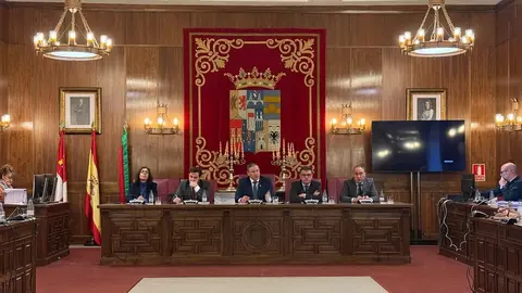 pleno diputación2