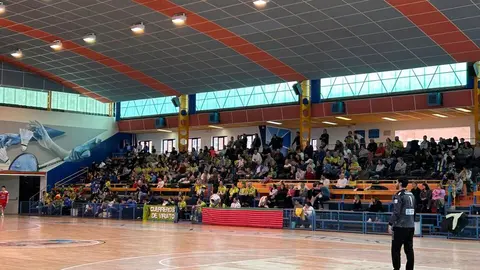 BM Zamora vs Pereda