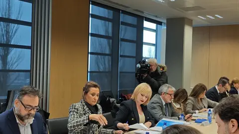 Consejo Regional de Economía Social