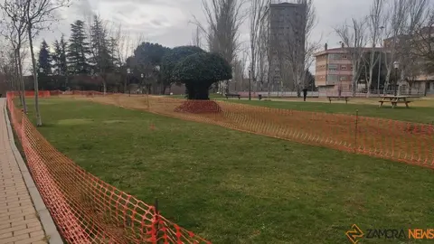obras Parque León Felipe _2