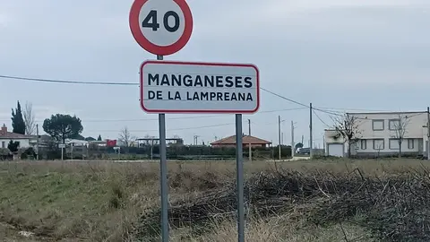 Manganeses de la Lampreana _2