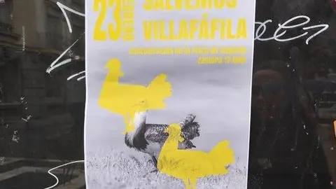 'Salvemos Villafáfila'